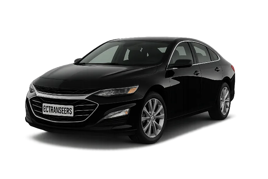 Executive sedan, side profile illustration